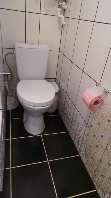 U Viktora Guest House Брест Екстериор снимка